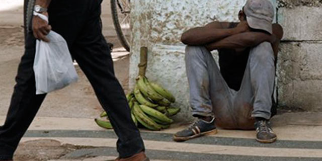 Cinismo, hambre y cucarachas