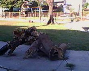 killedentorno